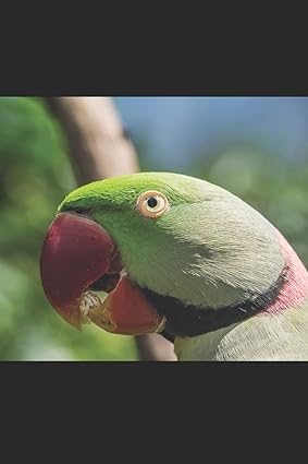 Halsbandsittich: Notizbuch / Tagebuch Sittich - DIN A5 120 Seiten punktiert / Punkteraster - Papagei