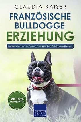 Französische Bulldogge Erziehung