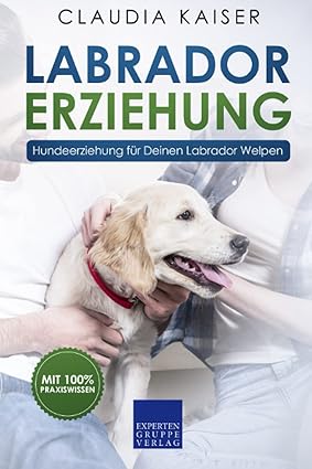 Labrador Erziehung