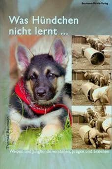 Was Hündchen nicht lernt... Welpen und Junghunde verstehen, prägen und erziehen