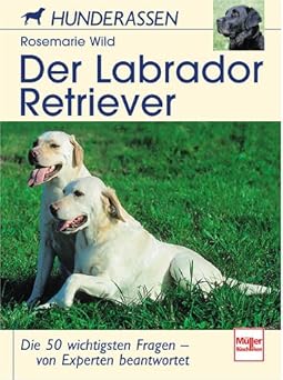 Der Labrador Retriever. Hunderassen.