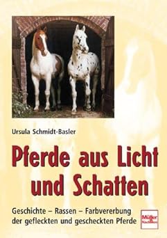 Pferde aus Licht und Schatten