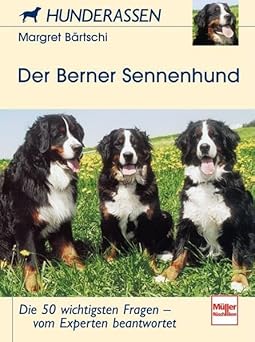 Der Berner Sennenhund. Hunderassen