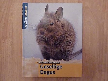Gesellige Degus