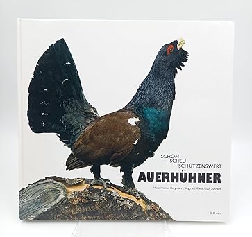 Auerhühner. Schön, scheu, schützenswert