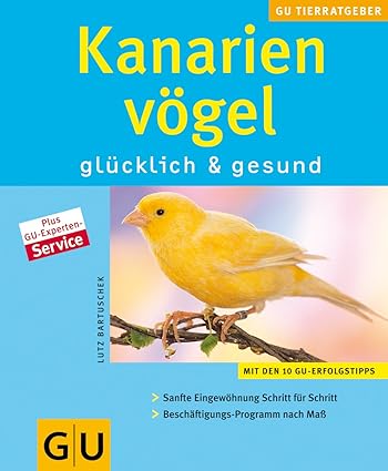 Kanarienvögel: glücklich & gesund