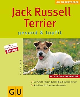Jack Russell Terrier