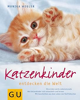 Katzenkinder