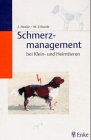 Schmerzmanagement