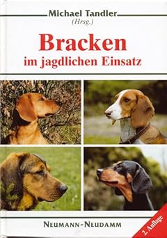 Bracken im jagdlichen Einsatz