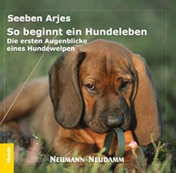 So beginnt ein Hundeleben. Die ersten Augenblicke eines Hundewelpen
