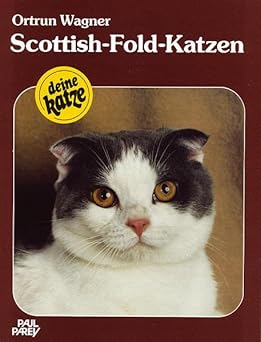 Scottish-Fold- Katzen