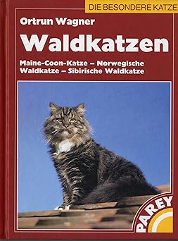 Waldkatzen