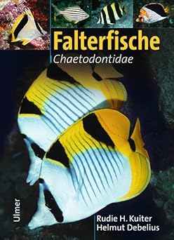 Falterfische. Familie Chaetodontidae. Marine Fischfamilien