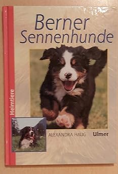 Berner Sennenhunde