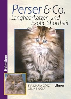 Perser und Co. Langhaarkatzen und Exotic Shorthair
