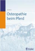 Osteopathie beim Pferd