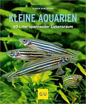 Kleine Aquarien: 60 Liter spannender Lebensraum