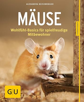 Mäuse: Wohlfühl-Basics für spielfreudige Mitbewohner