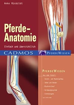 Pferde-Anatomie. Einfach und übersichtlich
