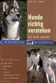 Hunde richtig verstehen. Wie Hunde sprechen
