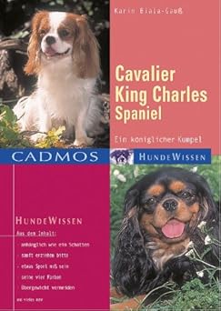 Cavalier King Charles Spaniel. Ein königlicher Kumpel
