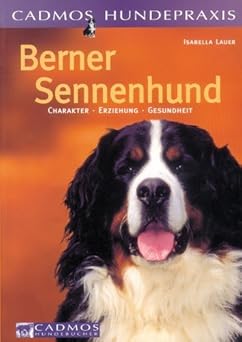 Berner Sennenhund. Charakter, Erziehung, Gesundheit