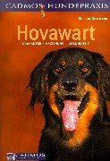 Hovawart. Charakter. Erziehung. Gesundheit