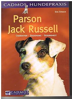 Parson Jack Russell. Charakter. Erziehung. Gesundheit