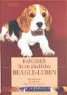 Ratgeber für ein glückliches Beagle-Leben. Verstehen. Erziehen. Mit ihnen Leben