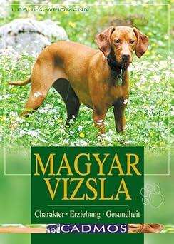 Magyar Vizsla. Charakter, Erziehung, Gesundheit