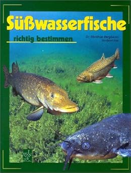 Süßwasserfische richtig bestimmen