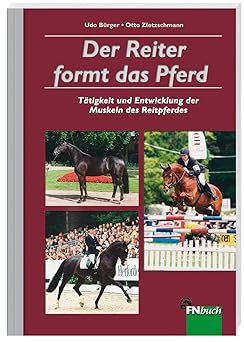 Der Reiter formt das Pferd. Tätigkeit und Entwicklung der Muskeln des Reitpferdes