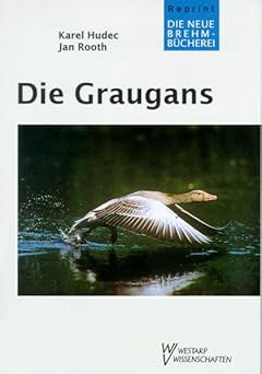 Die Graugans. Anser anser L