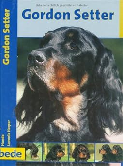 Praxis Ratgeber, Gordon Setter