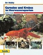 Ihr Hobby, Garnelen und Krebse im Meerwasseraquarium