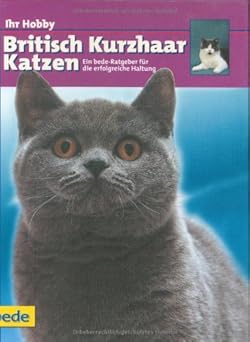 Ihr Hobby, Britisch Kurzhaar Katzen
