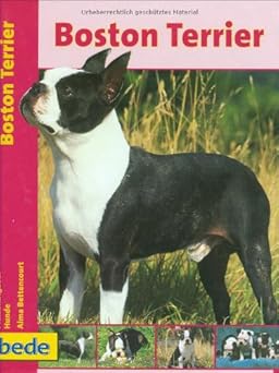 Praxis Ratgeber, Boston Terrier