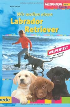 Faszination Wir wollen einen Labrador Retriever. Mit Welpentest und weiteren wichtigen Tipps!