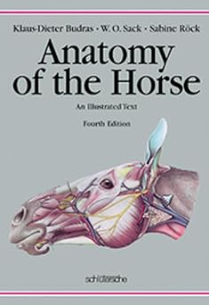 Anatomy of the Horse. An Illustrated Text