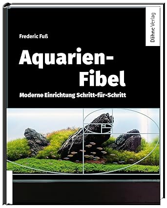 Aquarien-Fibel: Moderne Einrichtung Schritt-für-Schritt