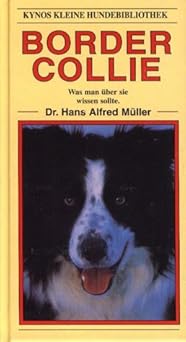 Border Collie. Was man über sie wissen sollte