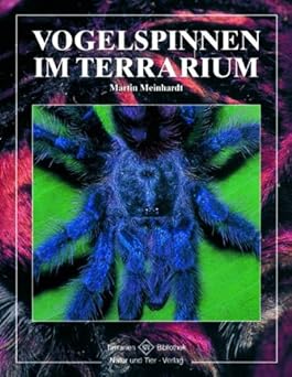 Vogelspinnen im Terrarium
