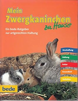Mein Zwergkaninchen zu Hause