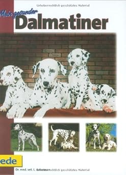 Mein gesunder Dalmatiner
