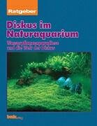 Ratgeber Diskus im Naturaquarium