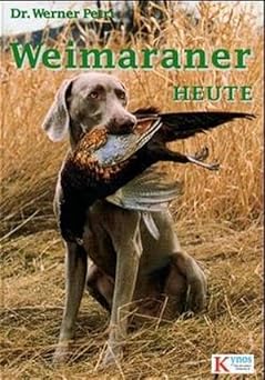 Weimaraner heute