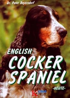 Cocker Spaniel heute