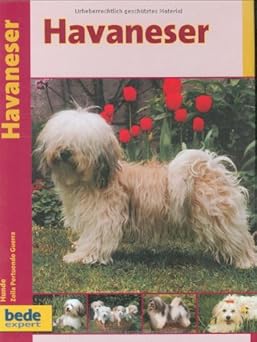 Praxis Ratgeber, Havaneser