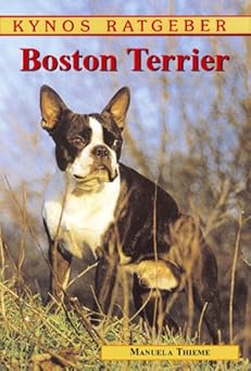 Boston Terrier